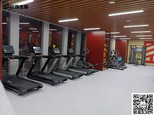 熊猫体育完成的济南某部门单位健身房