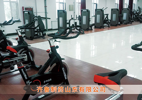 ​熊猫体育为齐鲁制药呼和浩特分公司打造健身房